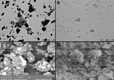 Mechanical and toxicological effects of deep-sea mining sediment plumes on a habitat-forming cold-water octocoral